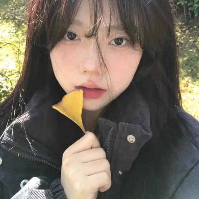 妻子们3